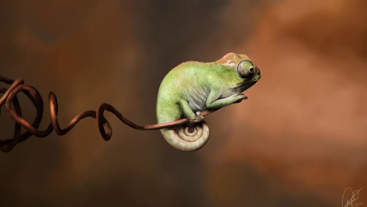 Baby Chameleon Perching On a Twisted Branch Wallpaper