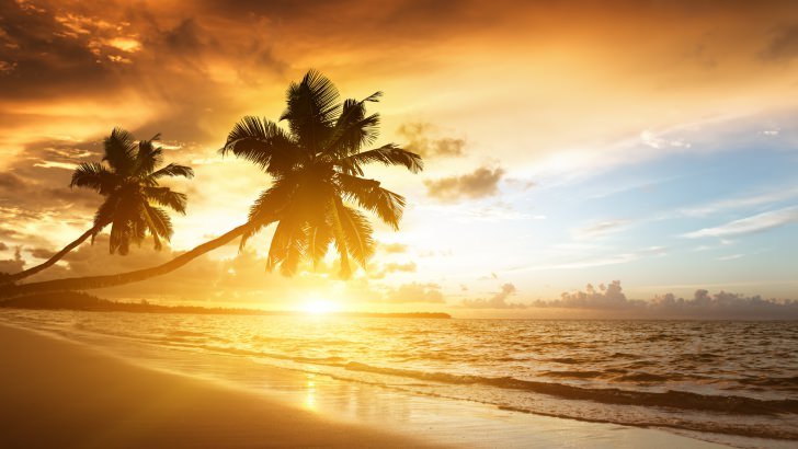 Beach With Palm Trees At Sunset Wallpaper