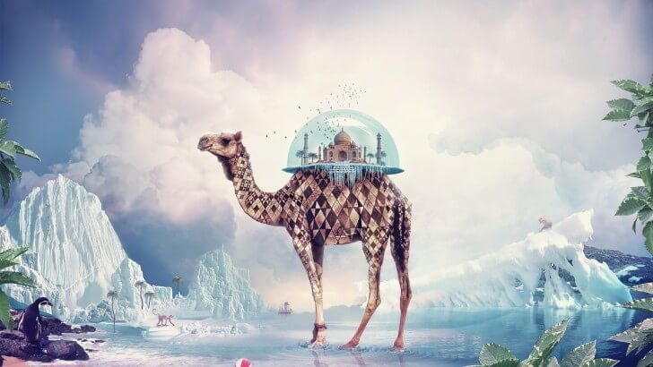 Fantasy Camel Wallpaper