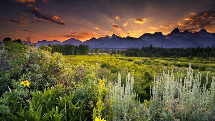 Sunset in Grand Teton National Park Wallpaper