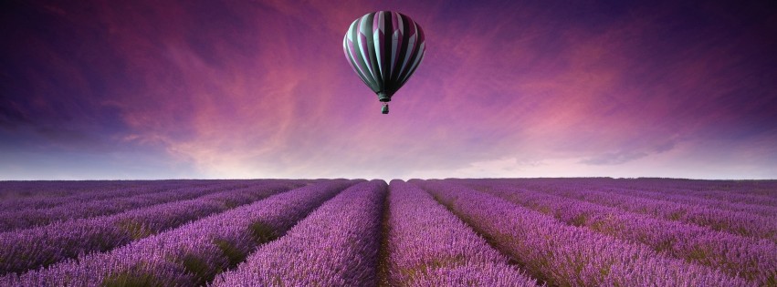 Hot Air Balloon Over Lavender Field Wallpaper for Social Media Facebook Cover