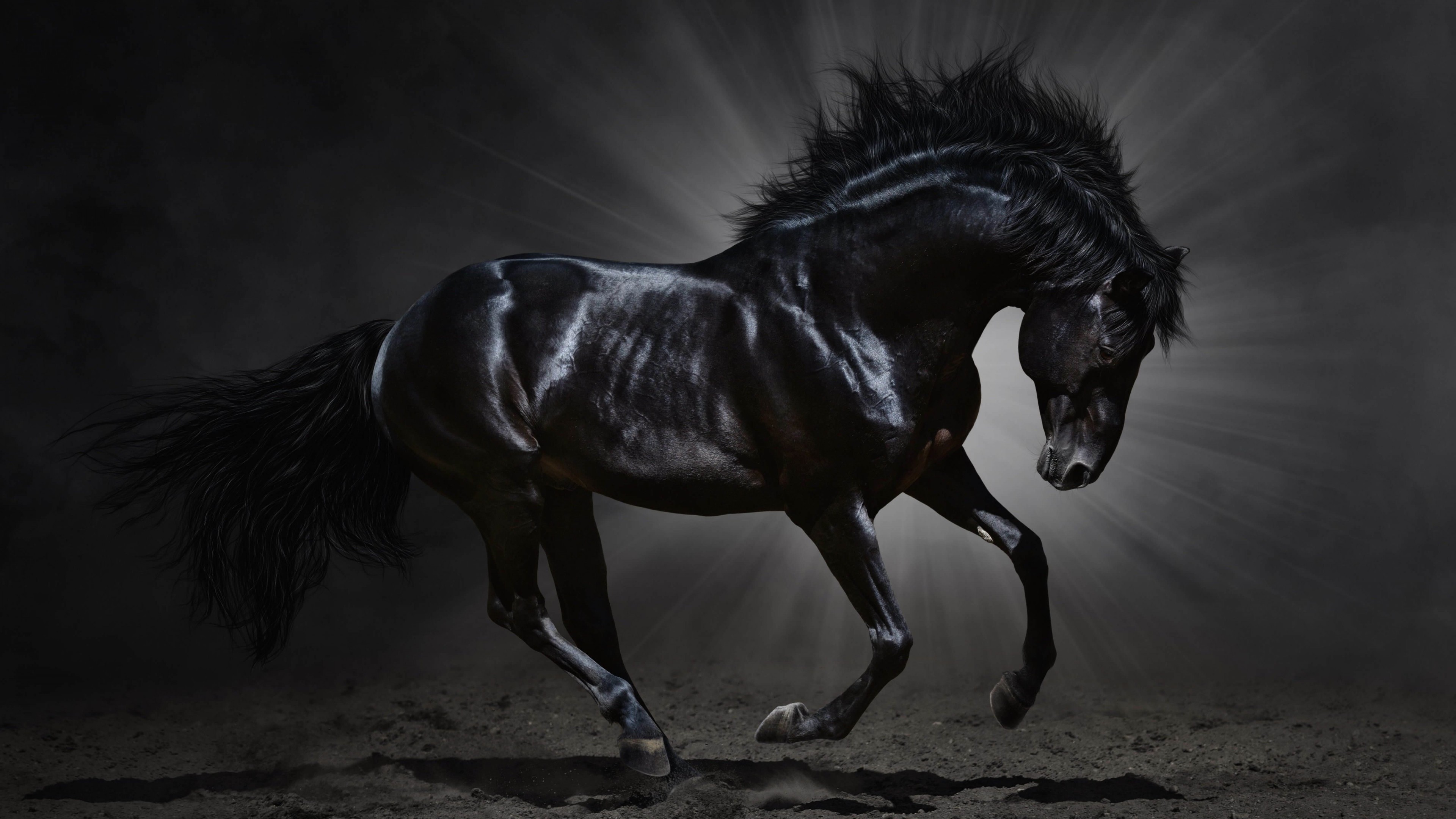 Download Dark  Horse  HD  wallpaper  for 4K 3840 x 2160 