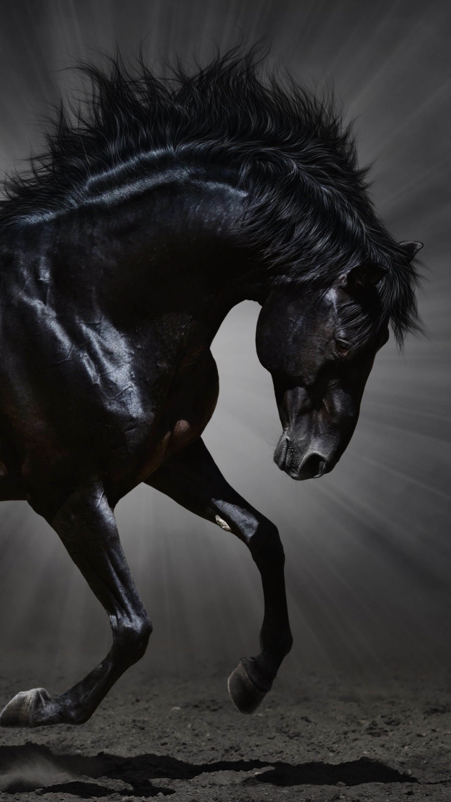 Download Dark  Horse  HD  wallpaper  for Galaxy Note 4 