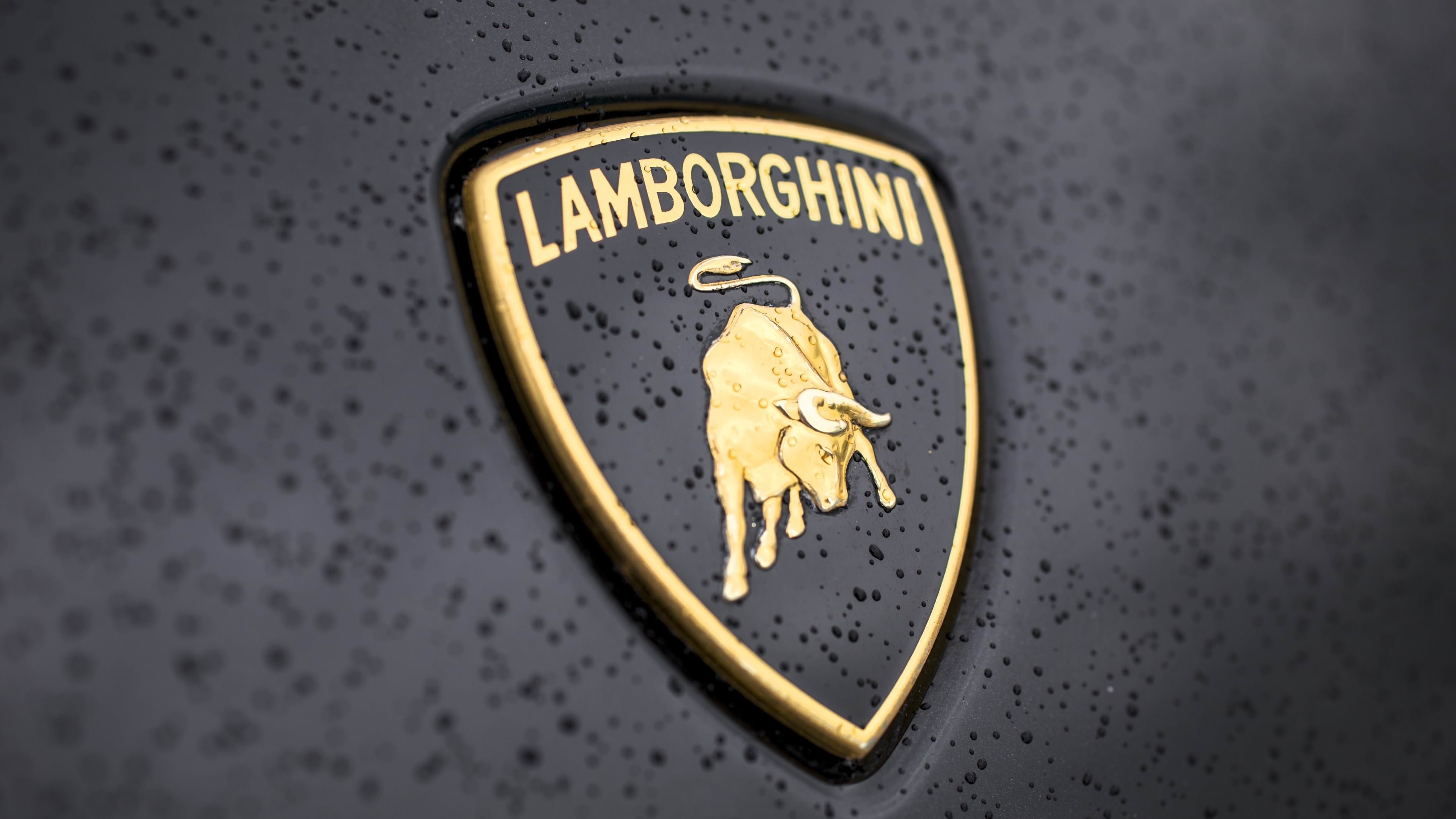 Download Lamborghini Logo HD wallpaper for 4K 3840 x 2160 ...
