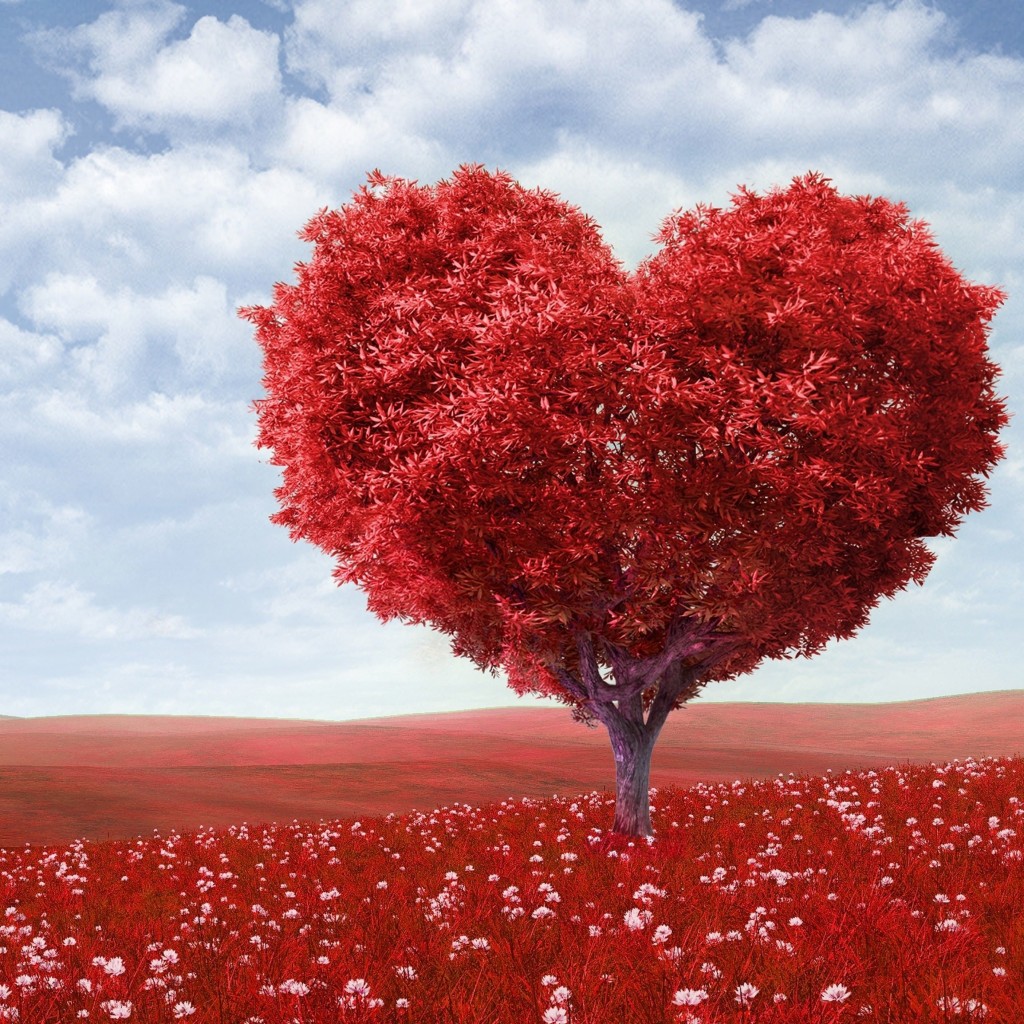 Download The Tree Of Love HD wallpaper for iPad