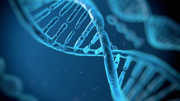 DNA Structure Wallpaper