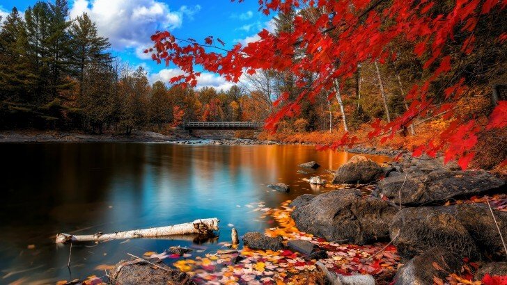 Oxtongue River, Algonquin Park Wallpaper