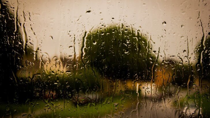 Rain On The Window Wallpaper