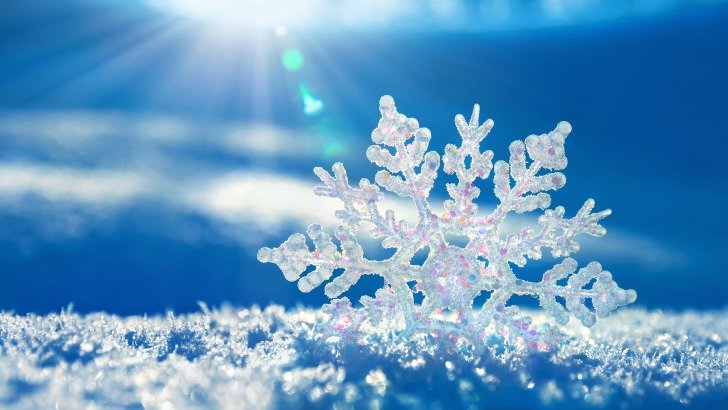 Snowflake Wallpaper