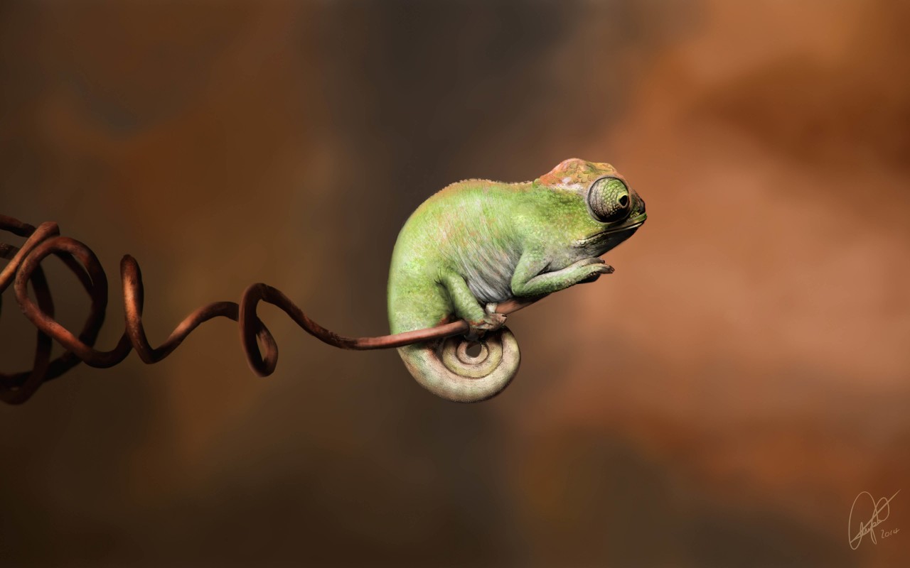 Baby Chameleon Perching On a Twisted Branch Wallpaper for Desktop 1280x800