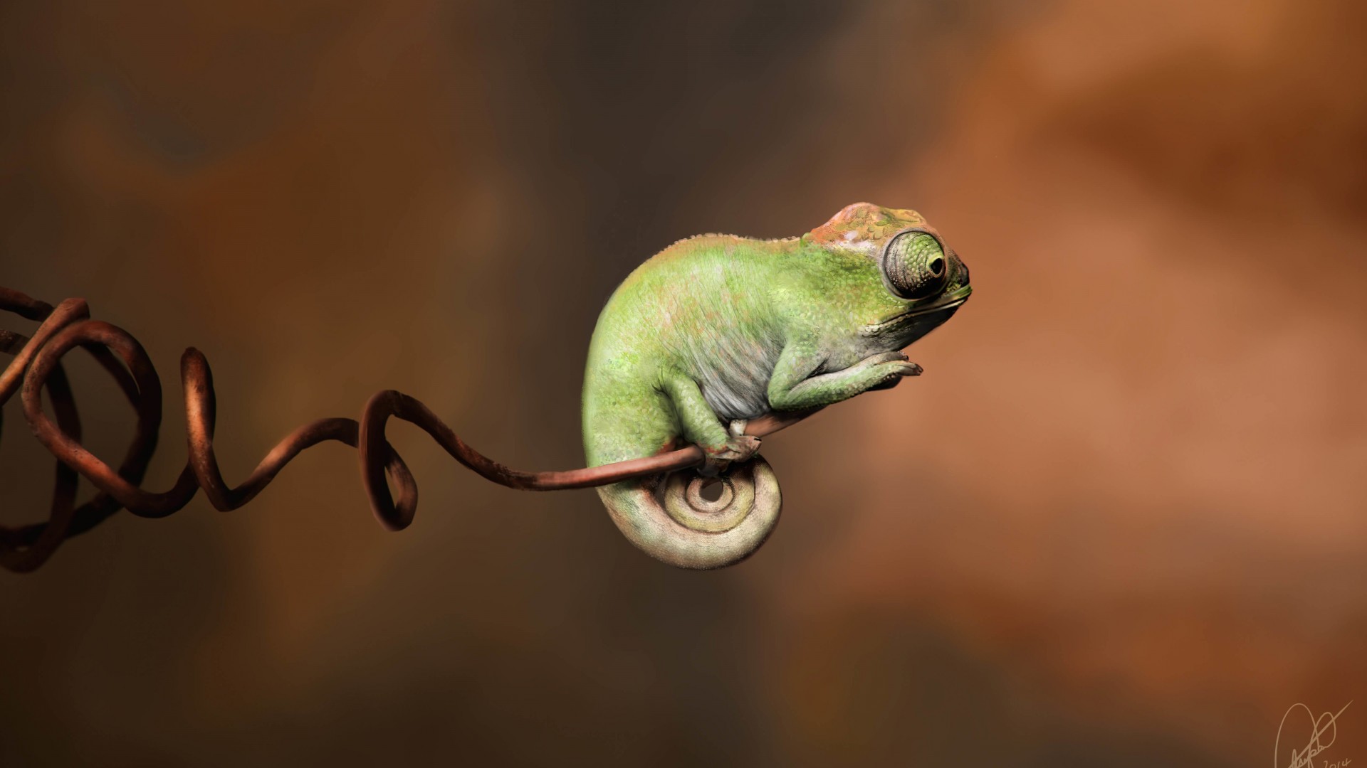 Baby Chameleon Perching On a Twisted Branch Wallpaper for Desktop 1920x1080