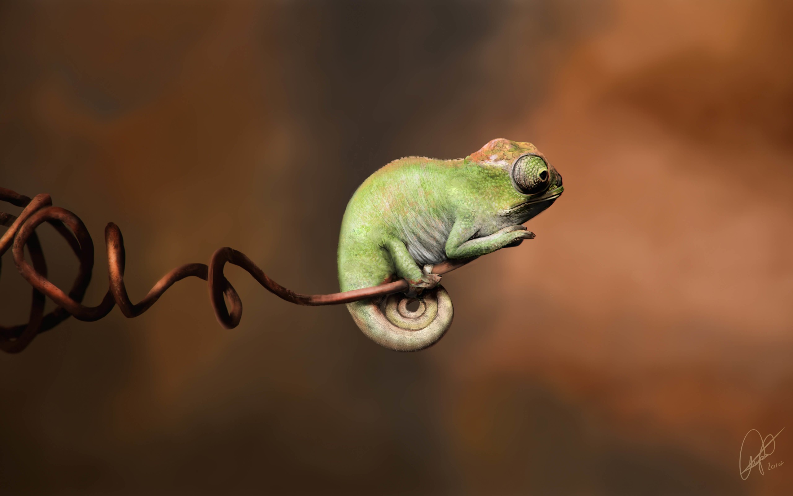 Baby Chameleon Perching On a Twisted Branch Wallpaper for Desktop 2560x1600