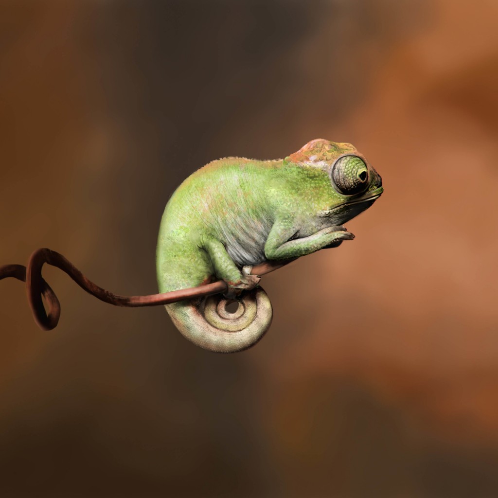 Baby Chameleon Perching On a Twisted Branch Wallpaper for Apple iPad