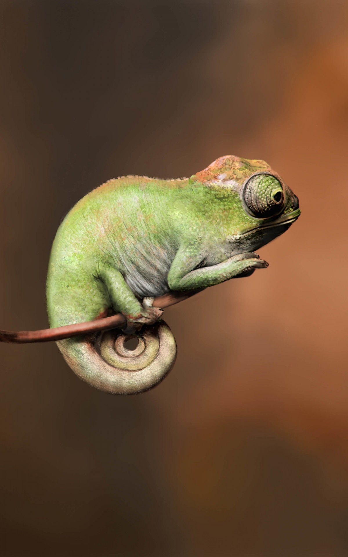 Baby Chameleon Perching On a Twisted Branch Wallpaper for Amazon Kindle Fire HDX