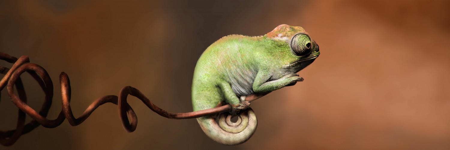 Baby Chameleon Perching On a Twisted Branch Wallpaper for Social Media Twitter Header