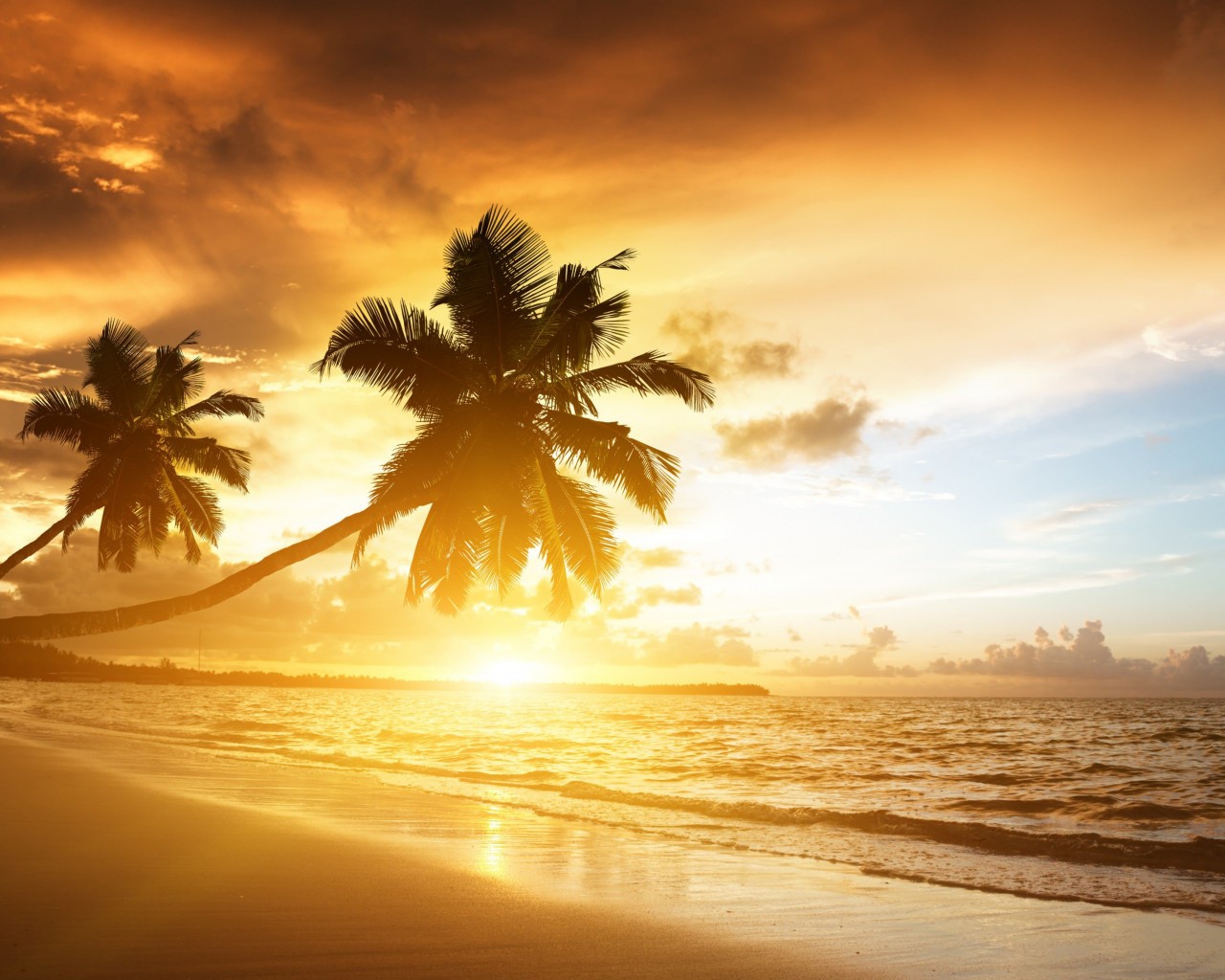 Beach With Palm Trees At Sunset Wallpaper for Desktop 1280x1024