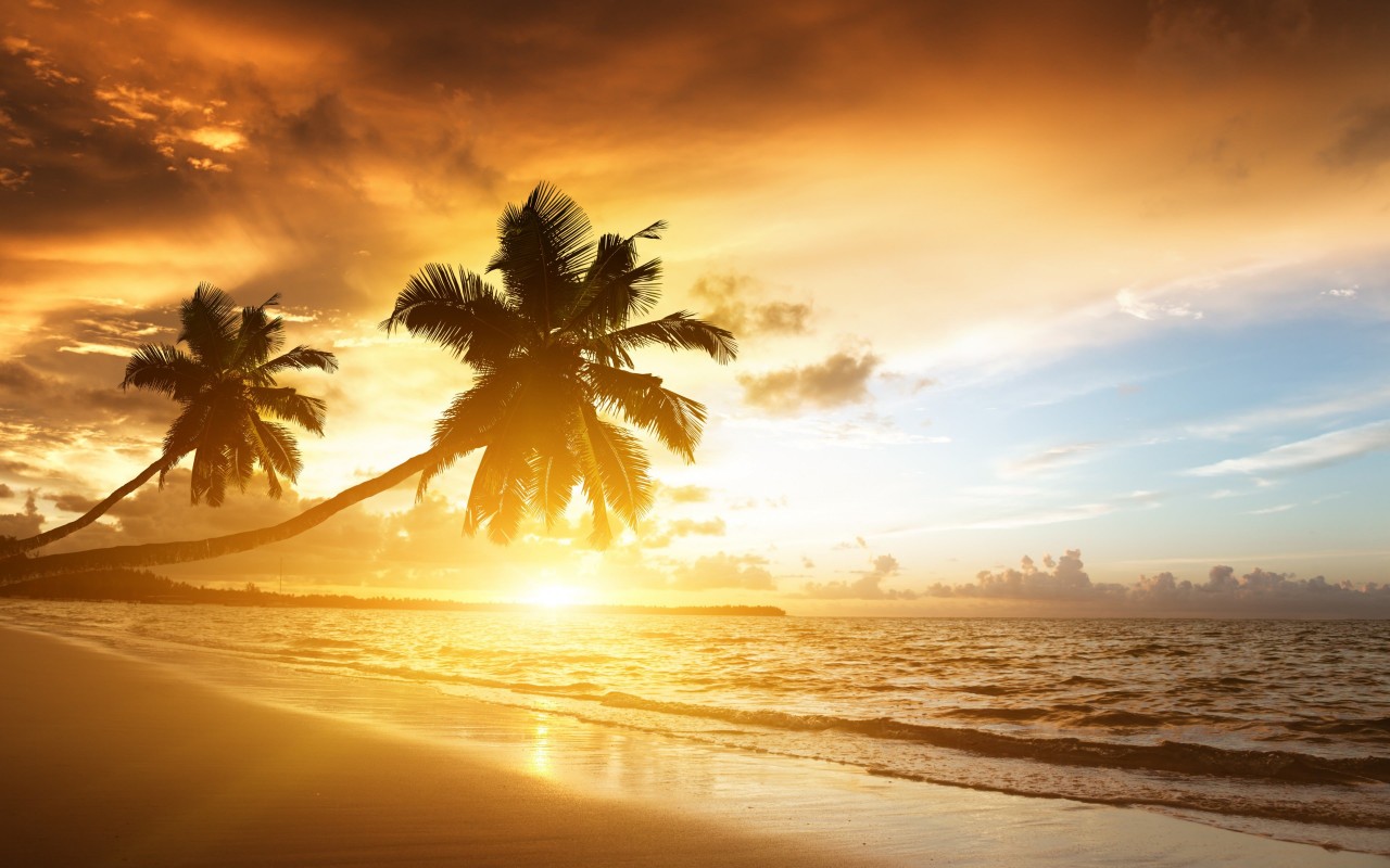 Beach With Palm Trees At Sunset Wallpaper for Desktop 1280x800