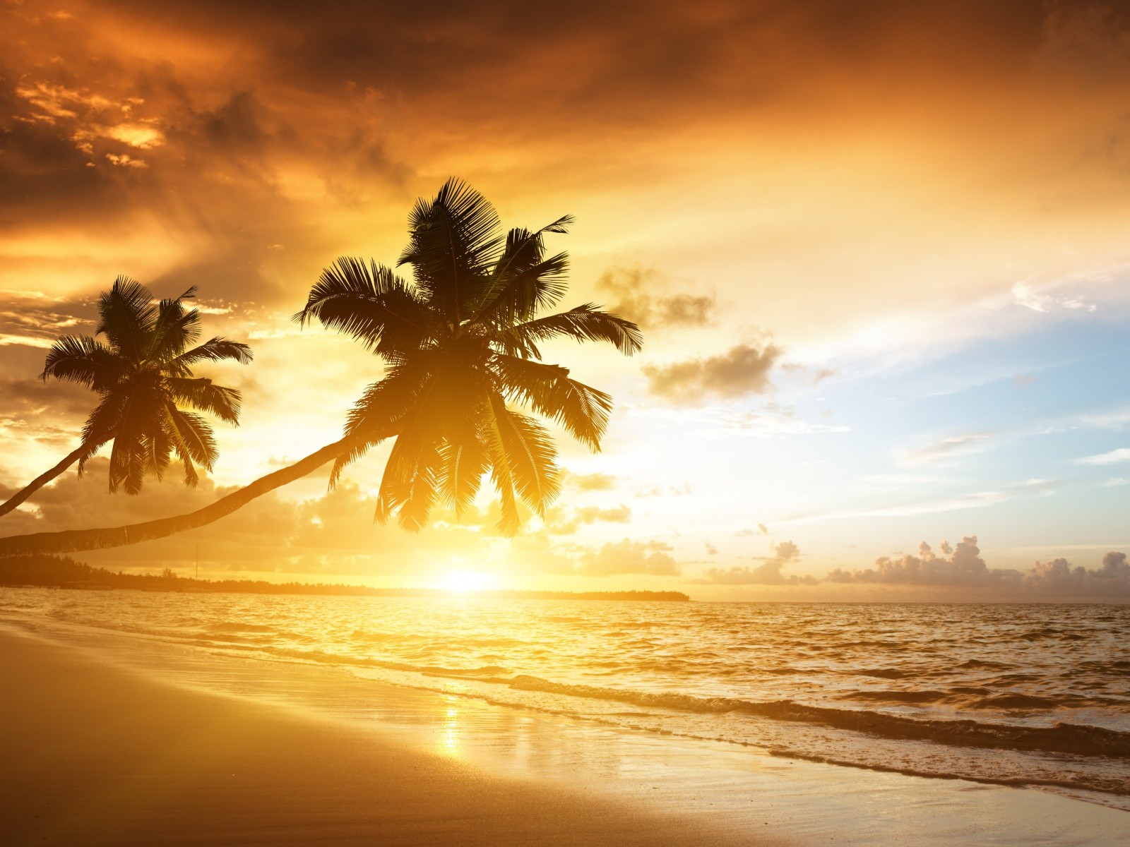 Beach With Palm Trees At Sunset Wallpaper for Desktop 1600x1200
