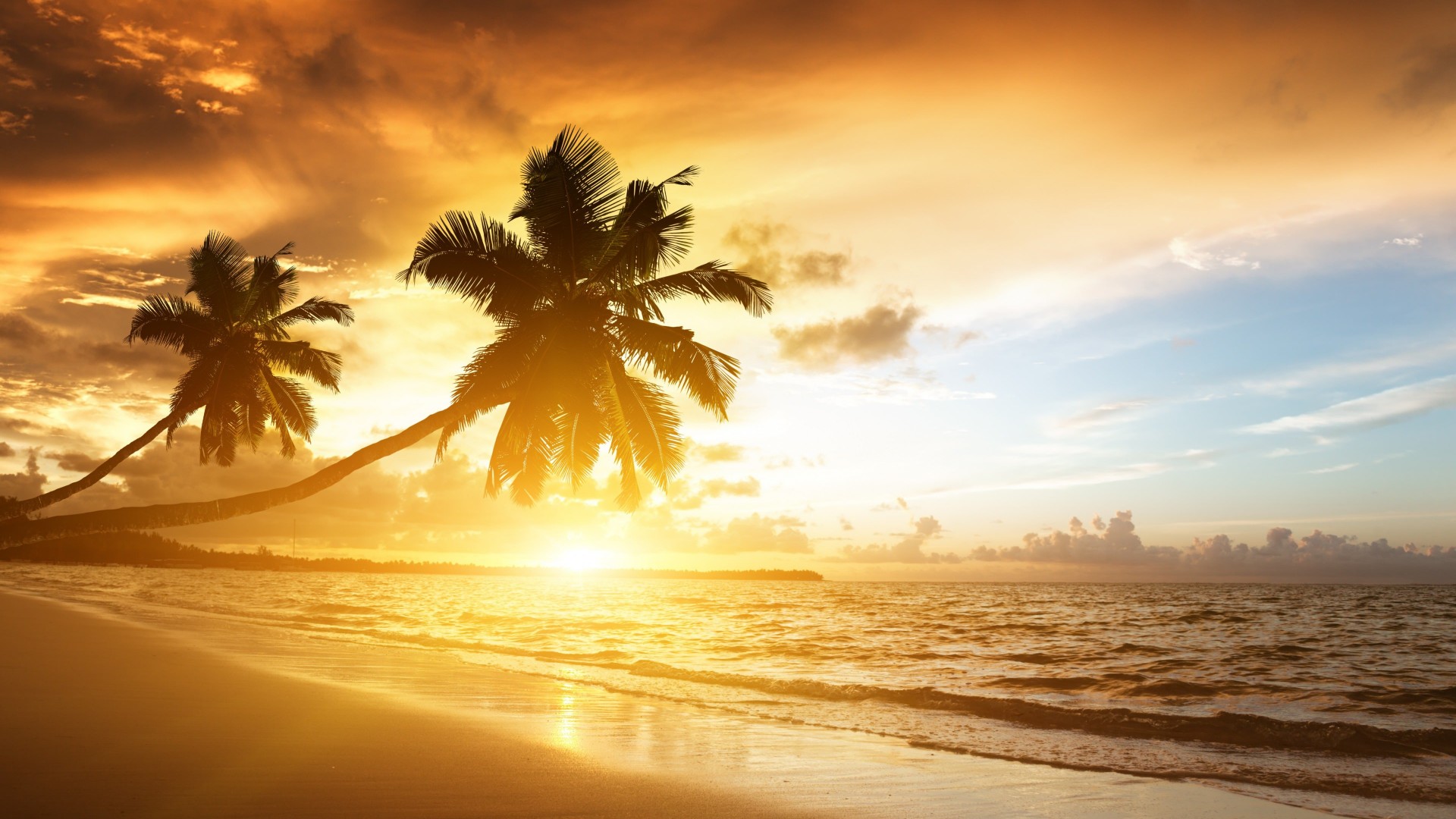 Beach With Palm Trees At Sunset Wallpaper for Desktop 1920x1080