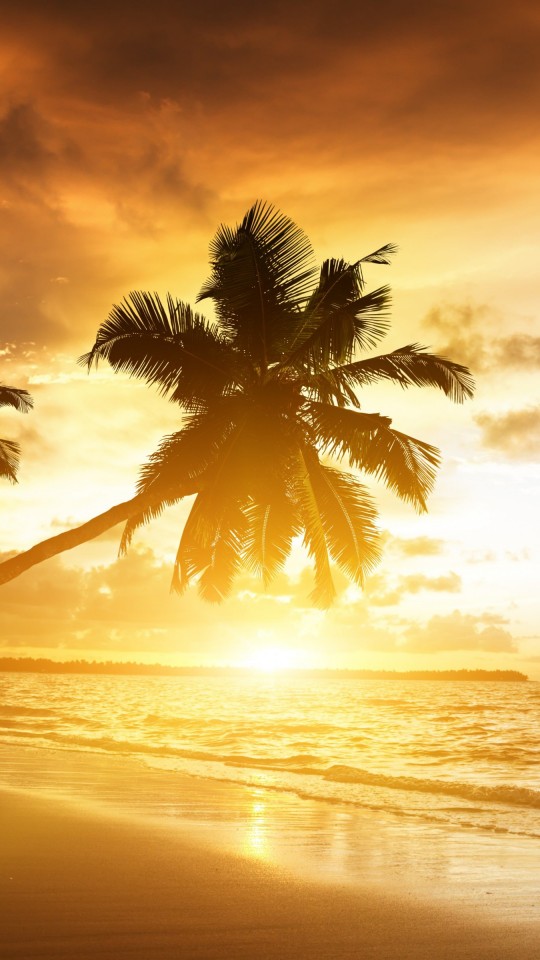 Beach With Palm Trees At Sunset Wallpaper for SAMSUNG Galaxy S4 Mini