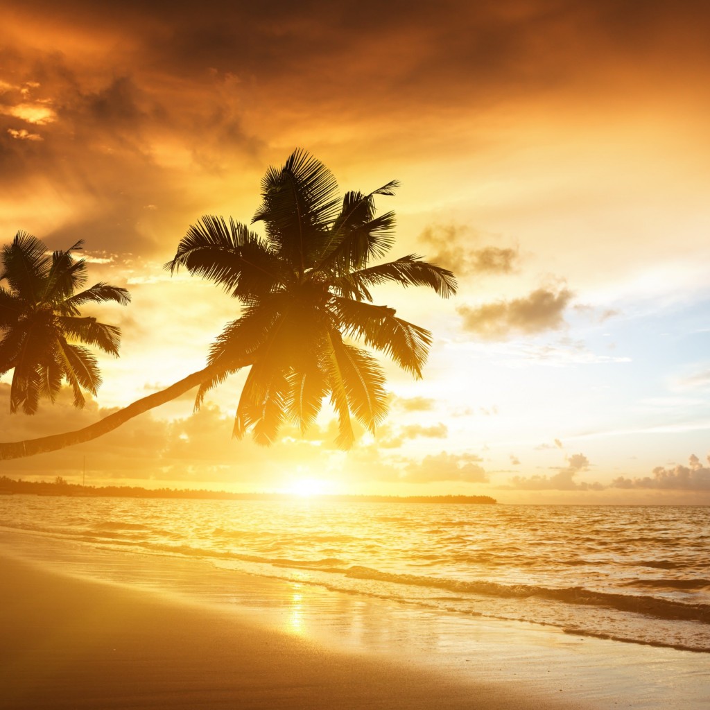 Beach With Palm Trees At Sunset Wallpaper for Apple iPad 2
