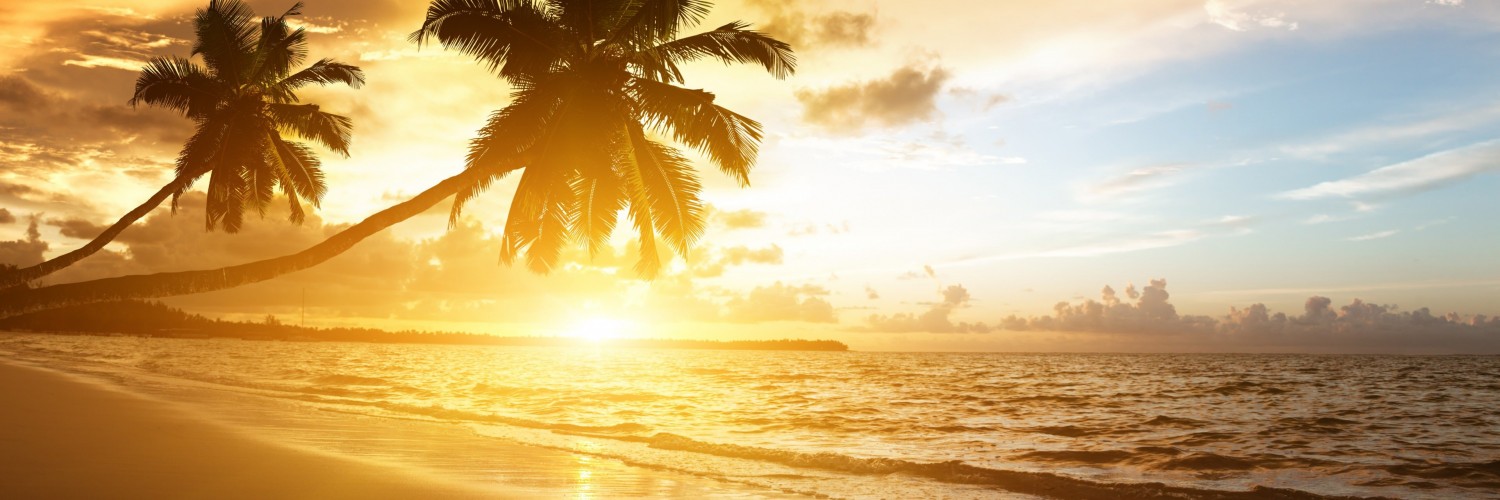 Beach With Palm Trees At Sunset Wallpaper for Social Media Twitter Header