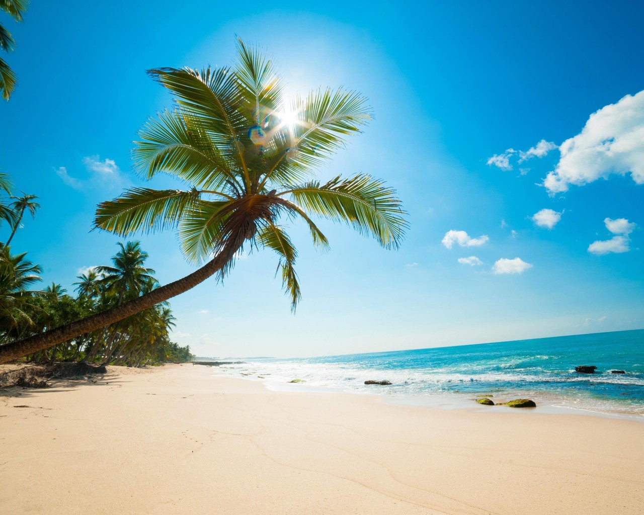 Beautiful Sunny Beach Wallpaper for Desktop 1280x1024
