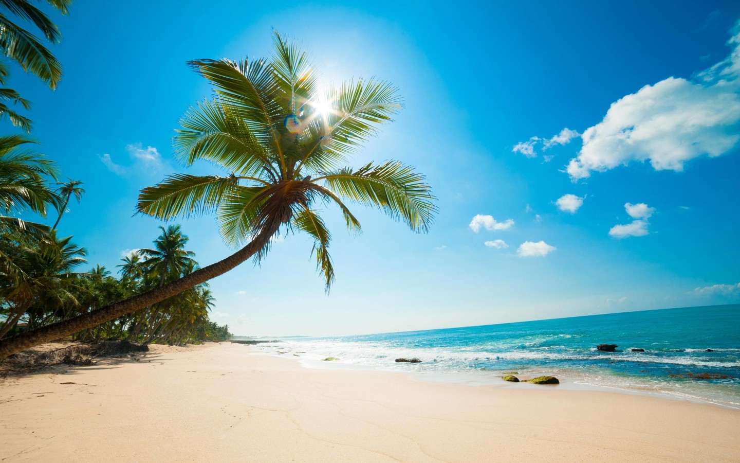 Beautiful Sunny Beach Wallpaper for Desktop 1440x900