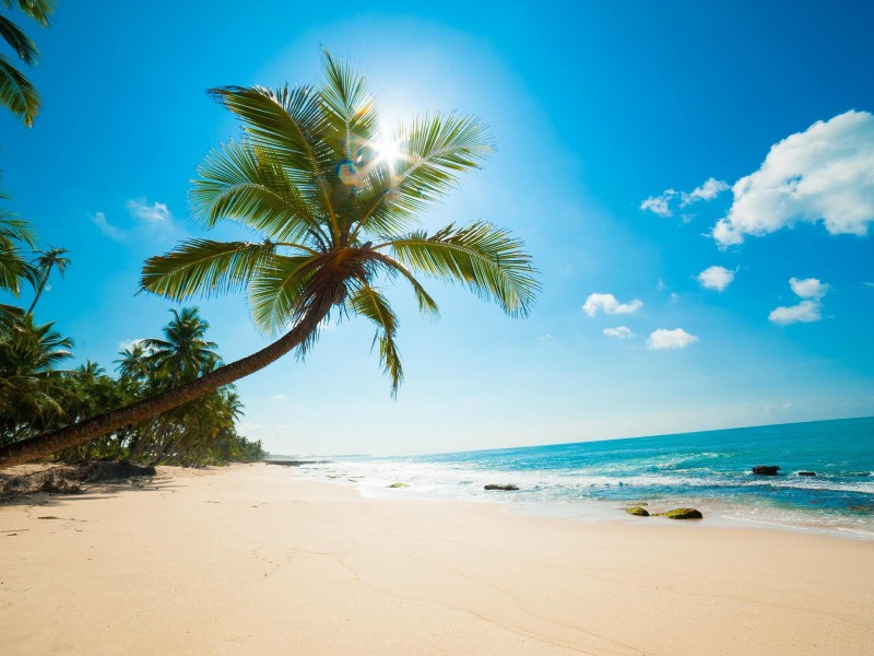 Beautiful Sunny Beach Wallpaper for Desktop 800x600
