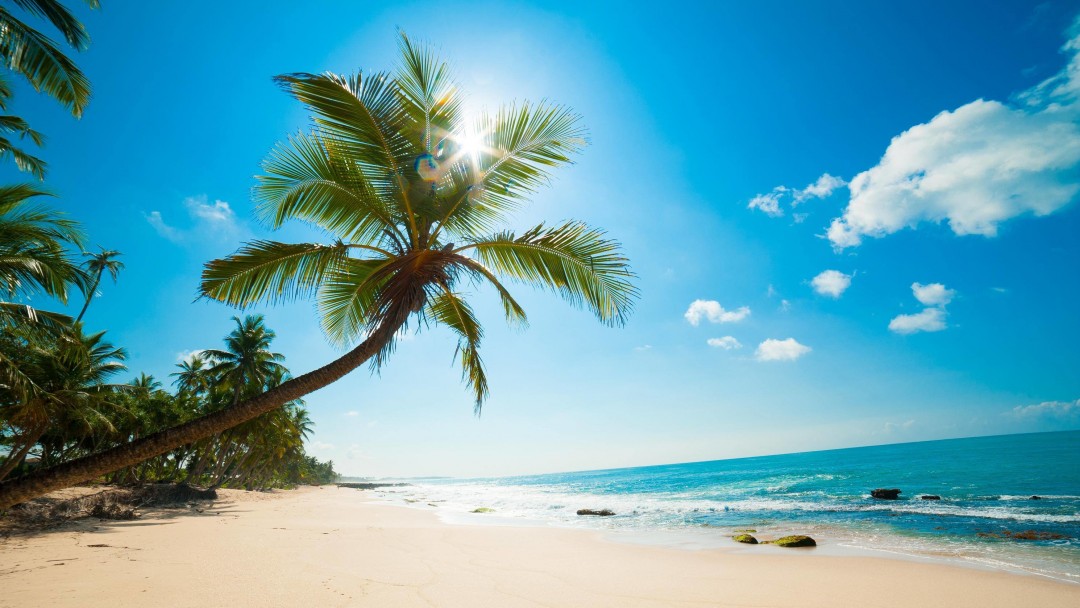 Beautiful Sunny Beach Wallpaper for Social Media Google Plus Cover
