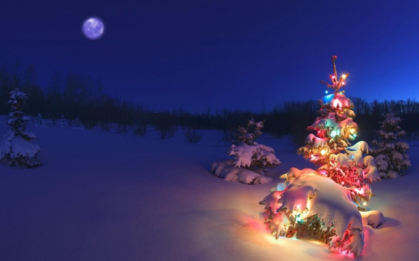 Christmas Night Moon Wallpaper for Desktop 1440x900