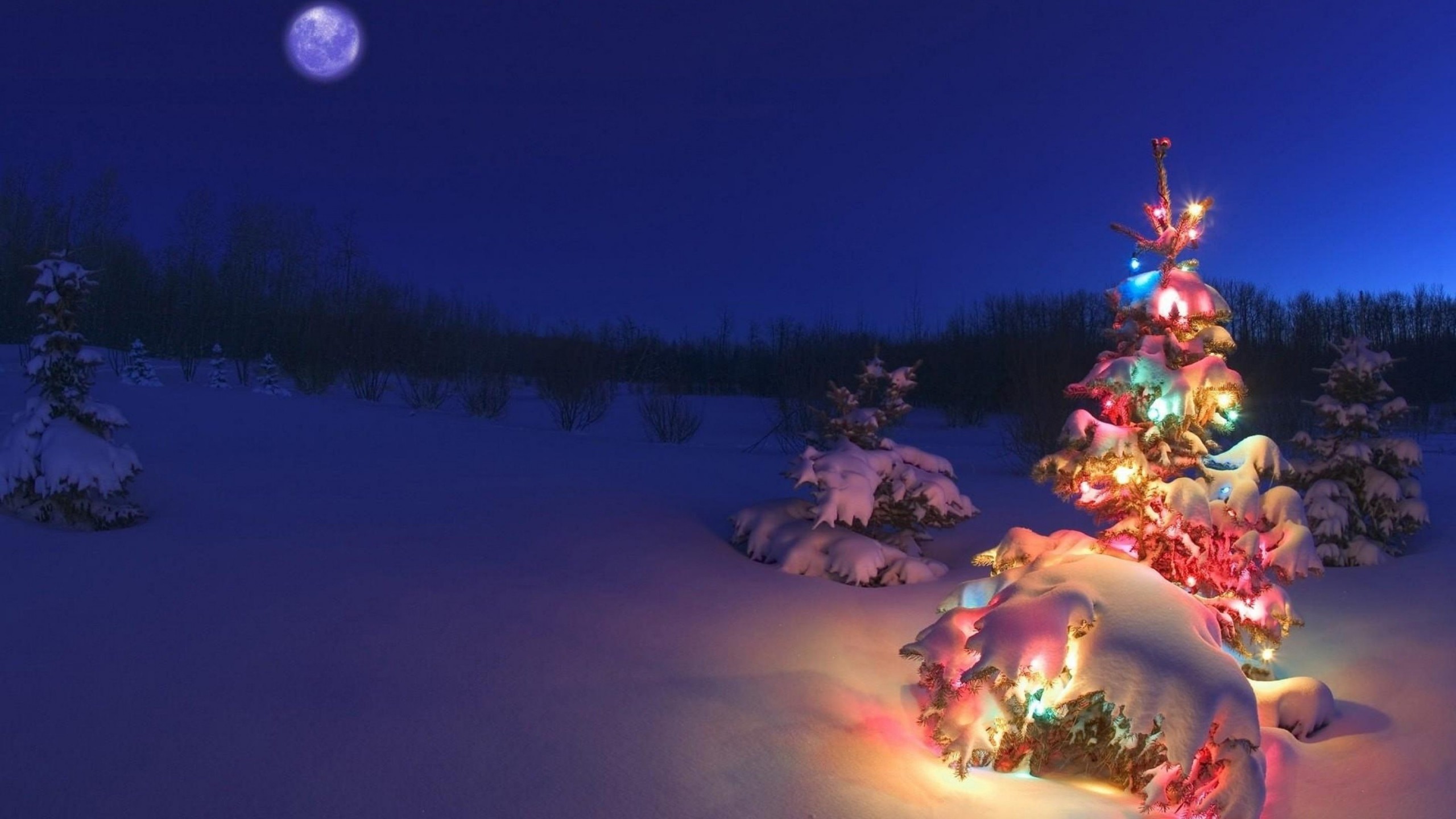 Christmas Night Moon Wallpaper for Desktop 2560x1440