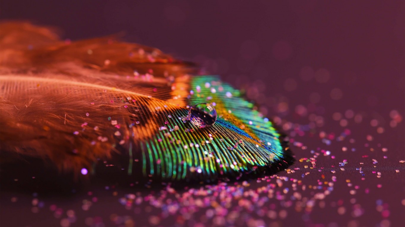 Colorful Feather Wallpaper for Desktop 1366x768
