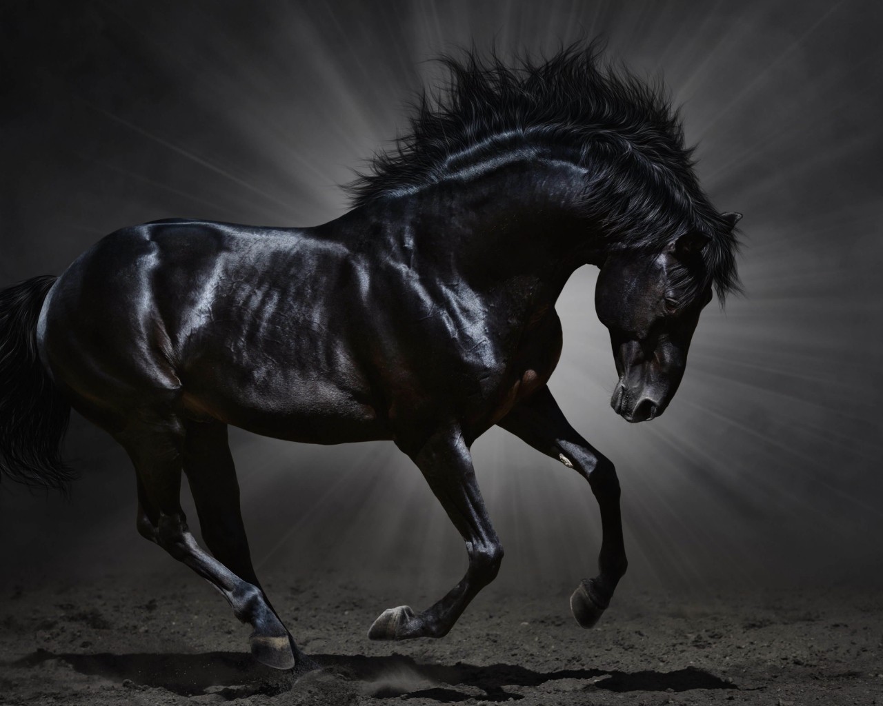 Dark Horse Wallpaper for Desktop 1280x1024