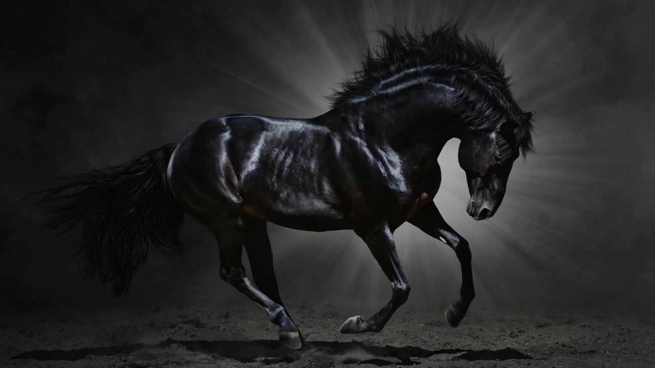 Dark Horse Wallpaper for Desktop 1280x720