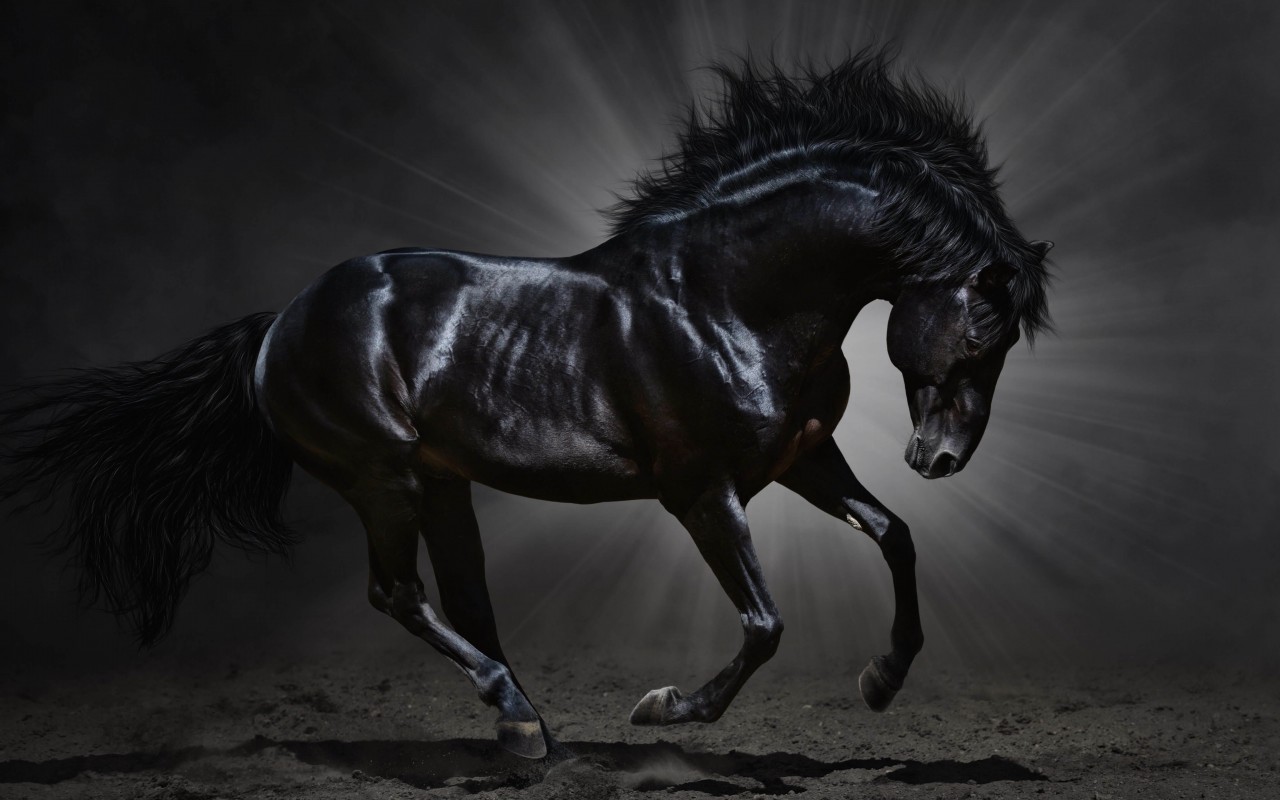 Dark Horse Wallpaper for Desktop 1280x800