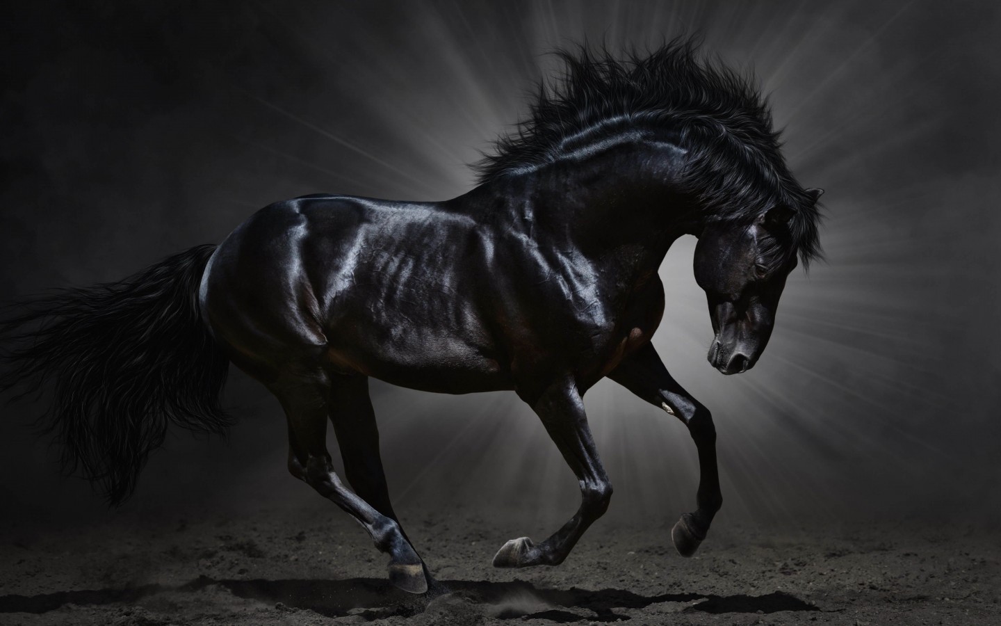 Dark Horse Wallpaper for Desktop 1440x900