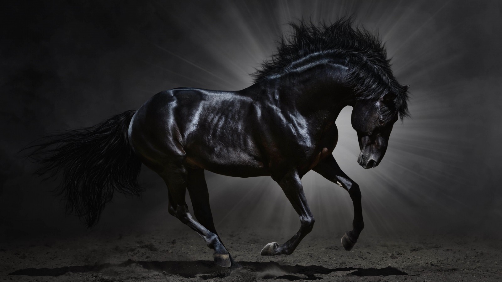 Dark Horse Wallpaper for Desktop 1600x900