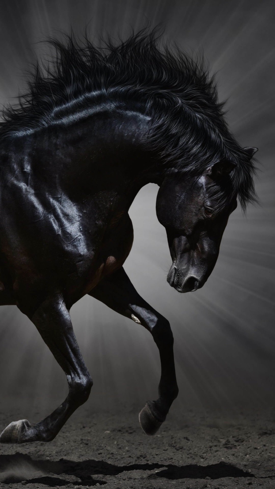 Dark Horse Wallpaper for SAMSUNG Galaxy Note 3