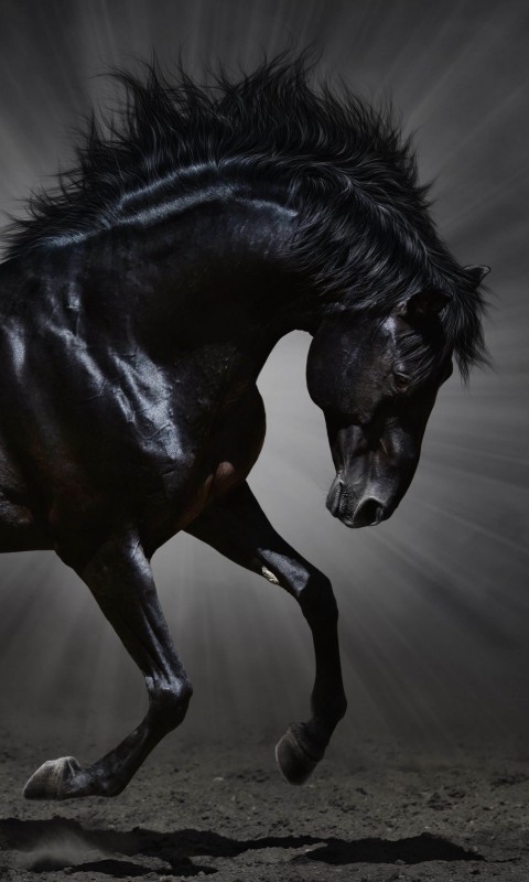 Dark Horse Wallpaper for SAMSUNG Galaxy S3 Mini