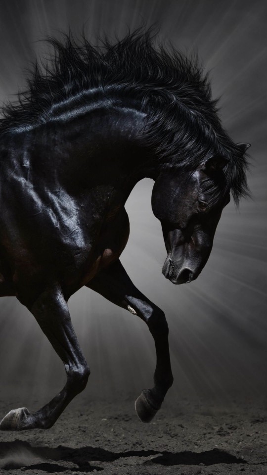 Dark Horse Wallpaper for SAMSUNG Galaxy S4 Mini