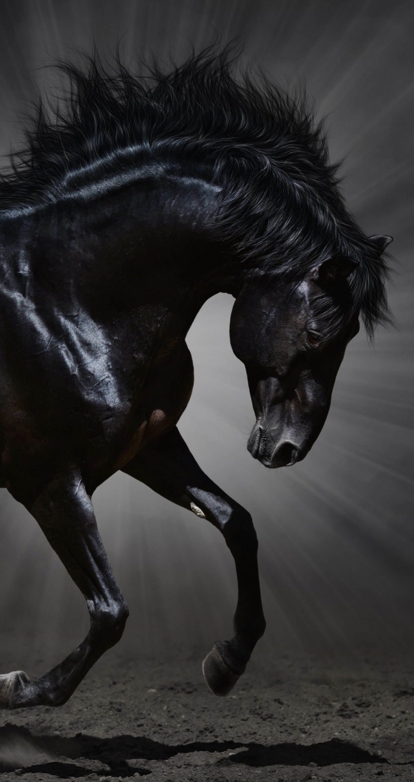 Dark Horse Wallpaper for Apple iPhone 6 / 6s