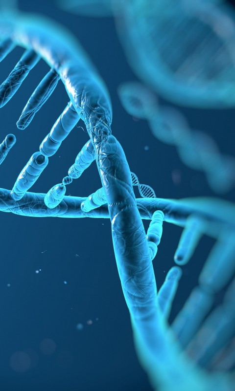 DNA Structure Wallpaper for HTC Desire HD