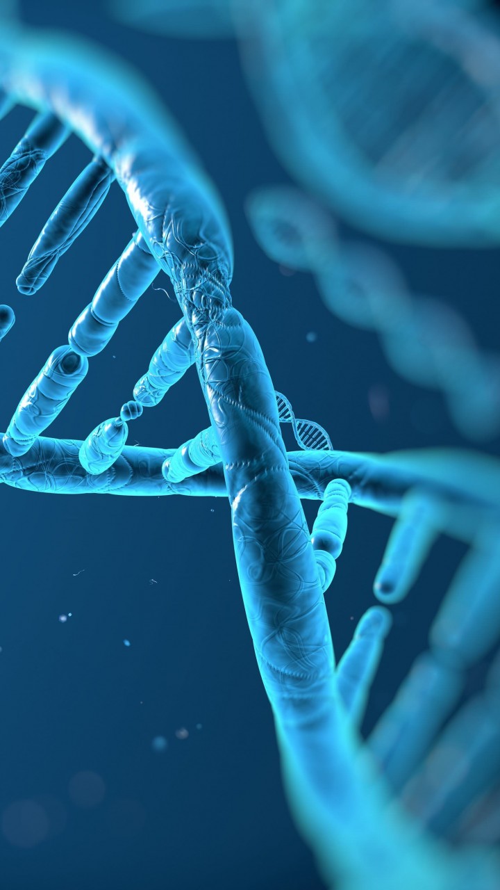 DNA Structure Wallpaper for HTC One mini