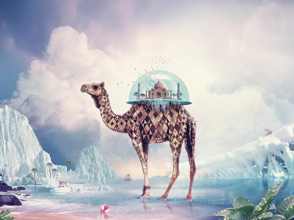 Fantasy Camel Wallpaper for Desktop 1024x768