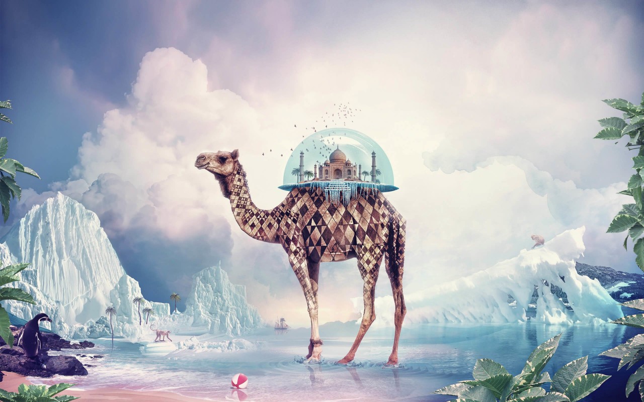 Fantasy Camel Wallpaper for Desktop 1280x800