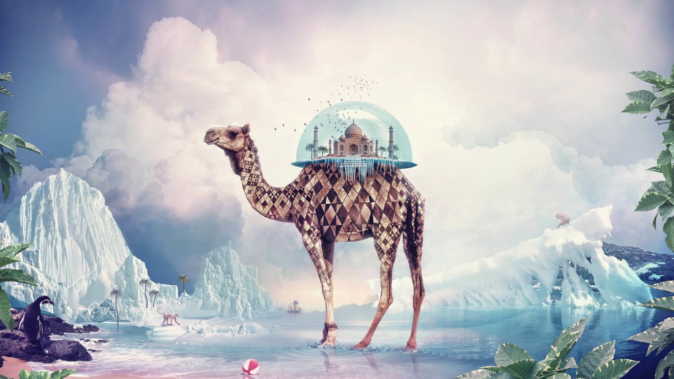 Fantasy Camel Wallpaper for Desktop 1366x768