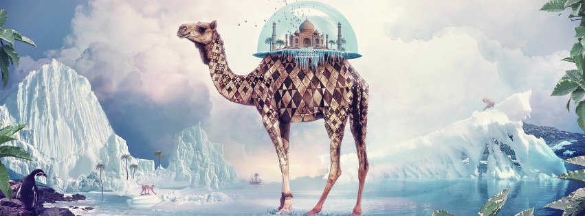 Fantasy Camel Wallpaper for Social Media Facebook Cover