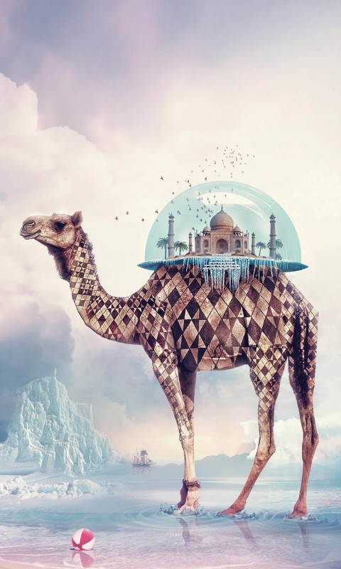 Fantasy Camel Wallpaper for SAMSUNG Galaxy S3 Mini