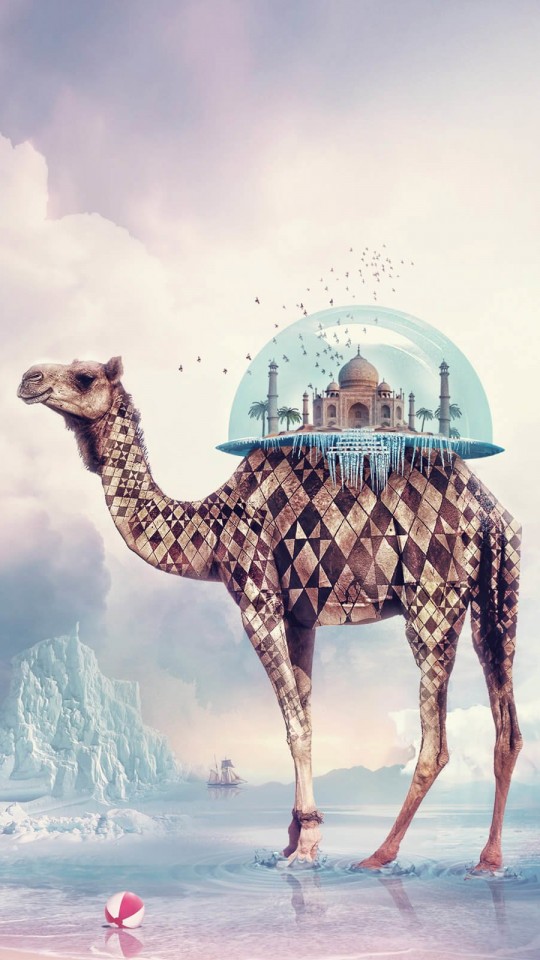 Fantasy Camel Wallpaper for LG G2 mini